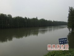 順德訂三年綠化建設計劃，讓市民享受更多綠意