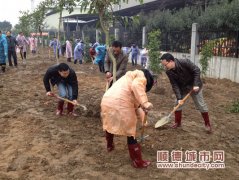 一人種一棵樹　龍江將會(huì)更美好