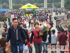 倫教：清明祭祀，聽(tīng)不見(jiàn)炮聲