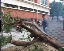 風(fēng)雨過后，倫教未現(xiàn)險情