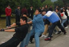 倫教：新春拔河賽十三連冠誕生