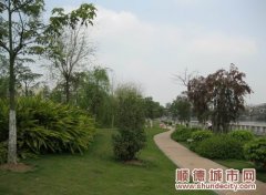 倫教綠化成績明顯，獲全區第三