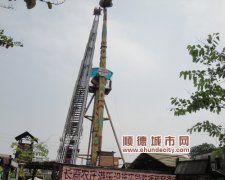 長鹿農莊游客“被困”半空 原來是演練