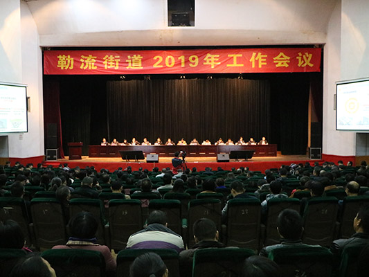 深化布局，勒流將打造順德中部經濟走廊